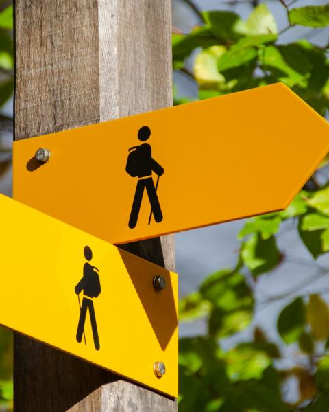 📢 Why Does Jolt Have Two Ringers? Here's Everything You Need to Know